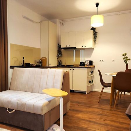 Garden City Studio Sibiu Exterior foto